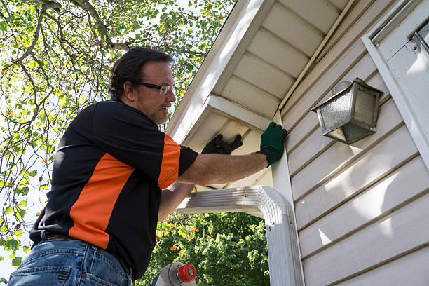 Best Shed Removal  in Badieville, LA